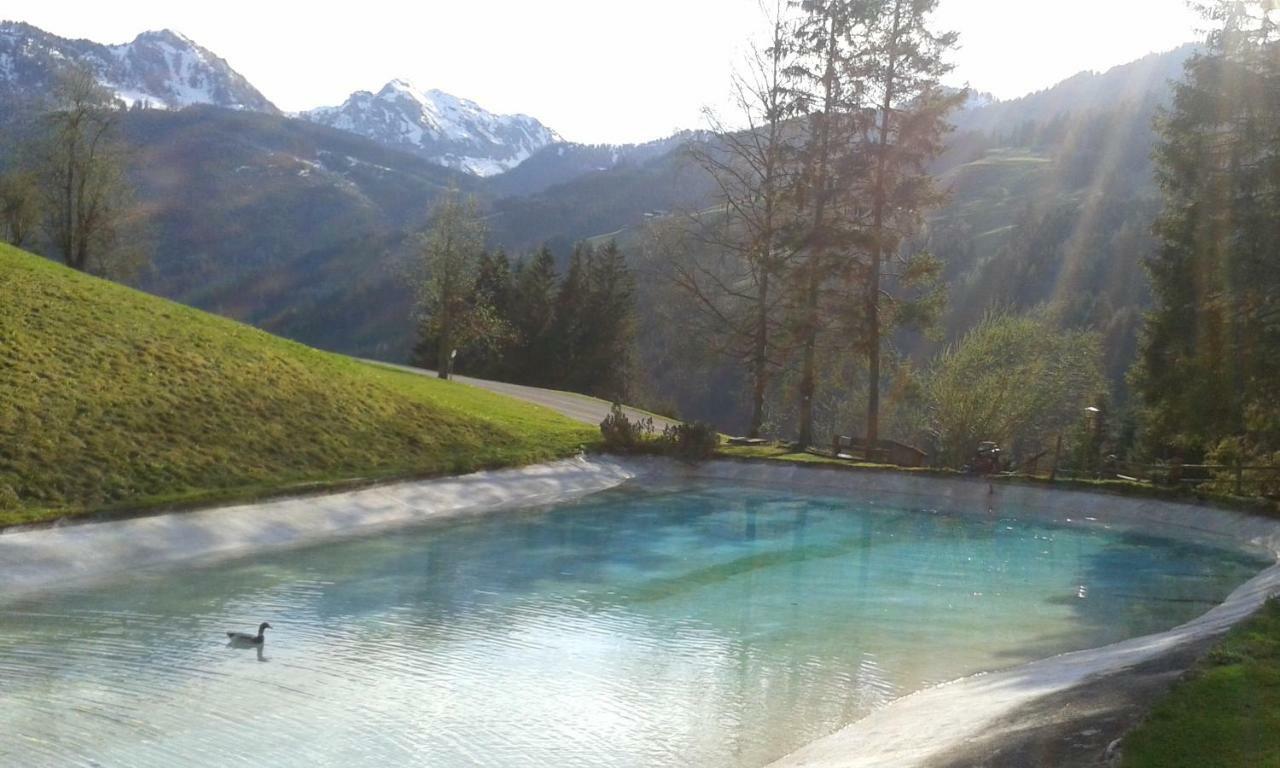 Pension Chalet Bergseegut Wagrain Exterior foto