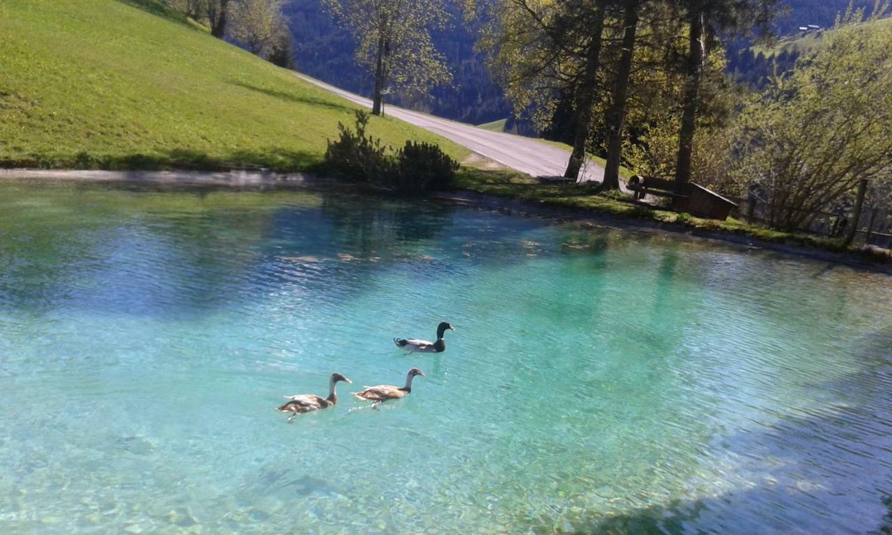 Pension Chalet Bergseegut Wagrain Exterior foto