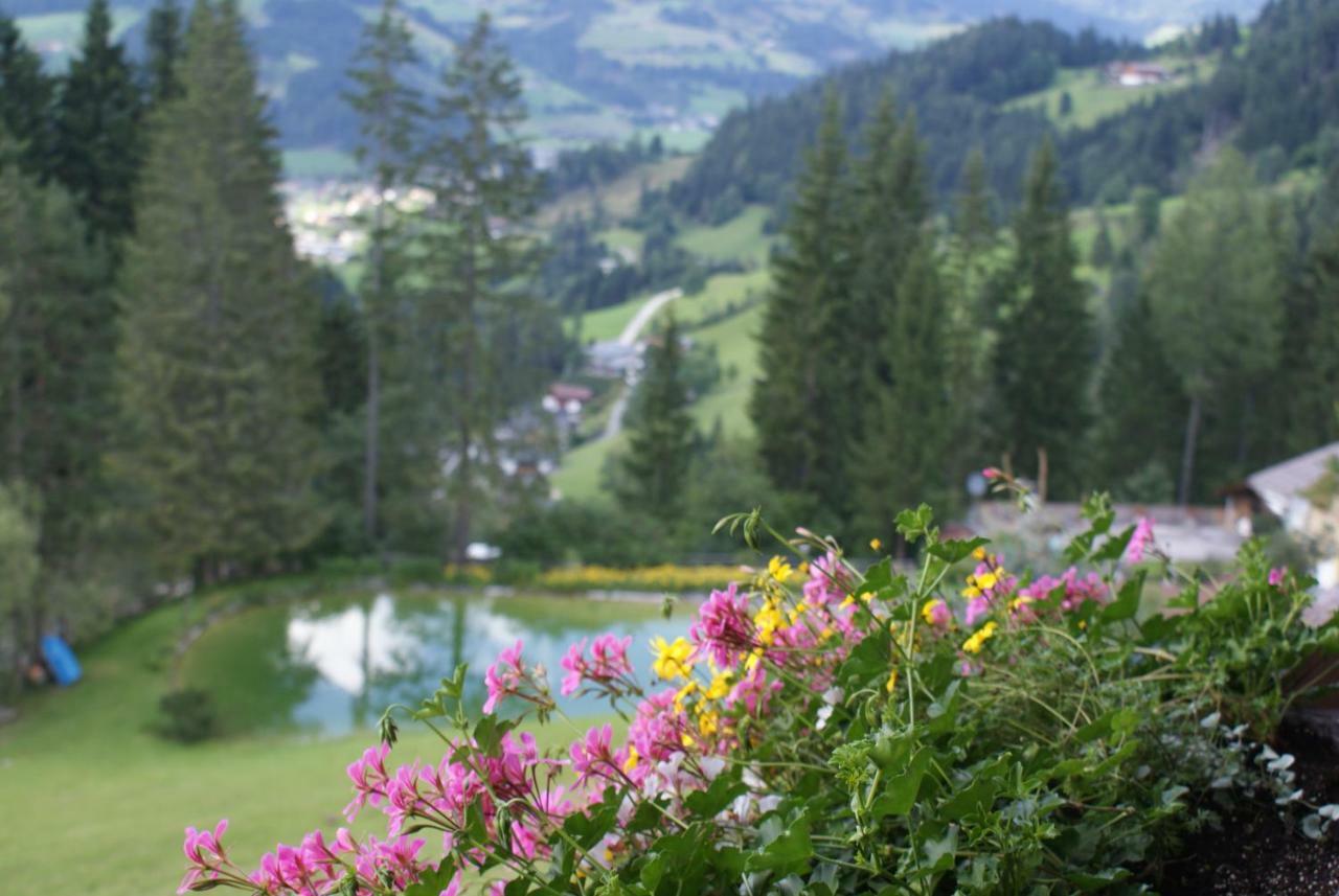 Pension Chalet Bergseegut Wagrain Exterior foto
