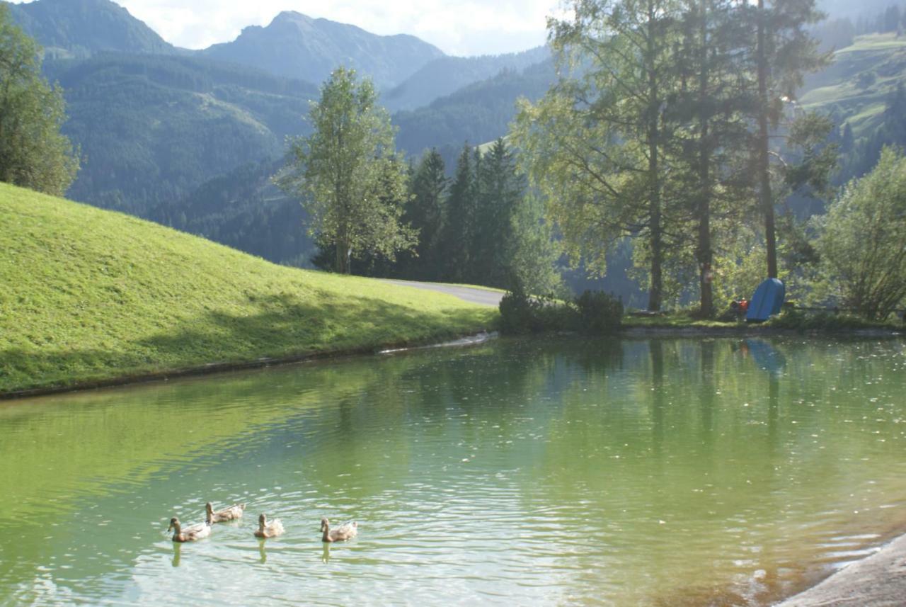 Pension Chalet Bergseegut Wagrain Exterior foto