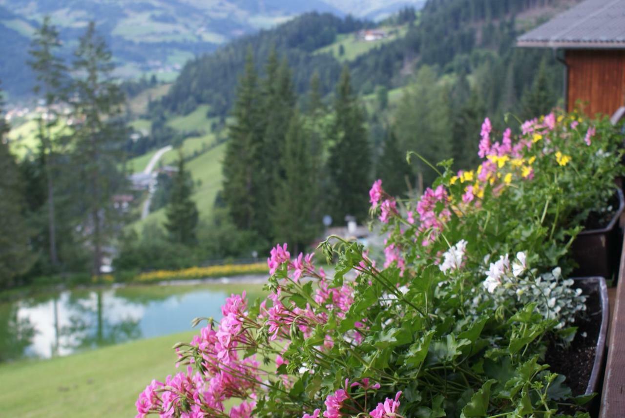 Pension Chalet Bergseegut Wagrain Exterior foto