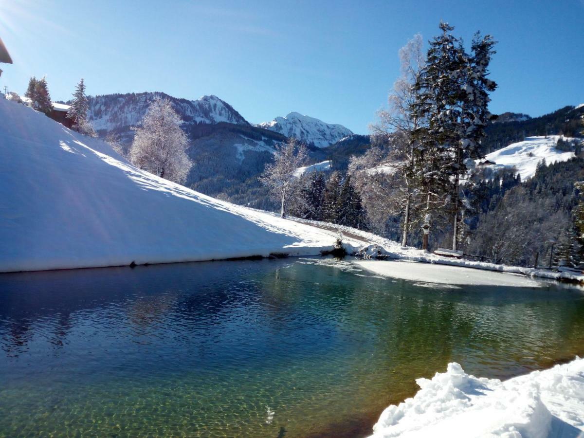 Pension Chalet Bergseegut Wagrain Exterior foto